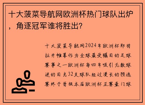 十大菠菜导航网欧洲杯热门球队出炉，角逐冠军谁将胜出？